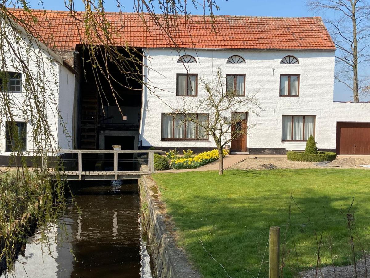 Vakantiewoning Wurfeldermolen Maaseik Eksteriør billede