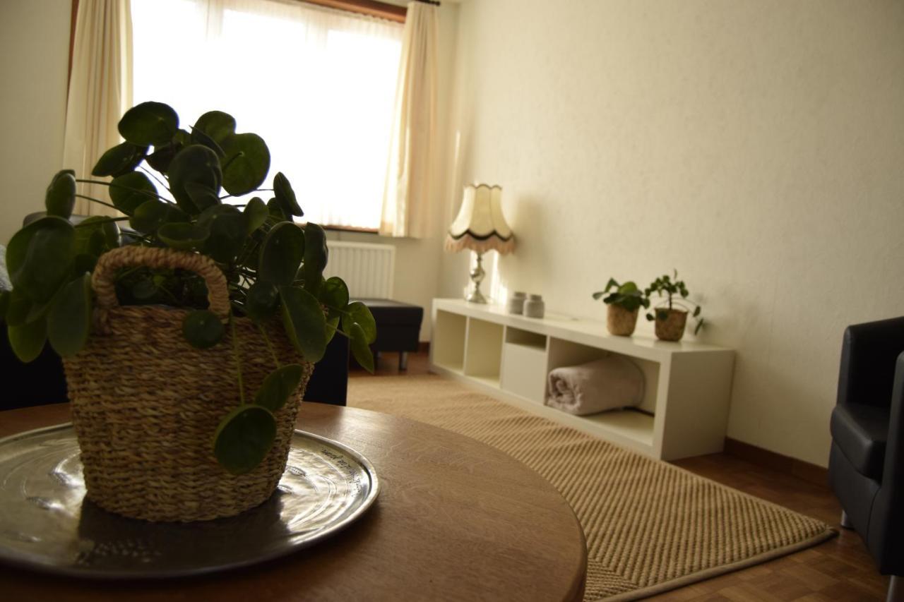 Vakantiewoning Wurfeldermolen Maaseik Eksteriør billede
