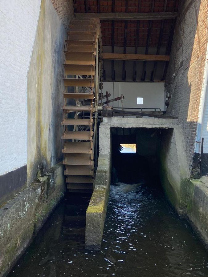 Vakantiewoning Wurfeldermolen Maaseik Eksteriør billede